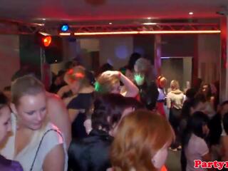 Onbeheerst amateur eurobabes partij hard in club: gratis xxx video- 66