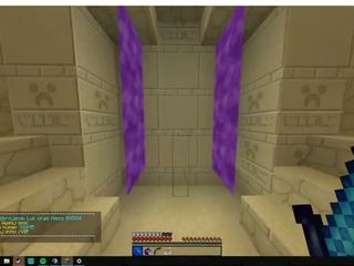 Minecraft ことができます 遊ぶ