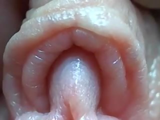 Clitoris fermer: gratuit gros plans cochon agrafe agrafe 3f