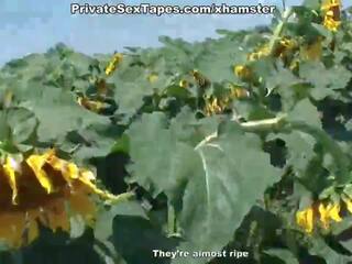 Man kurang ajar his cantik amatir prawan among sunflowers